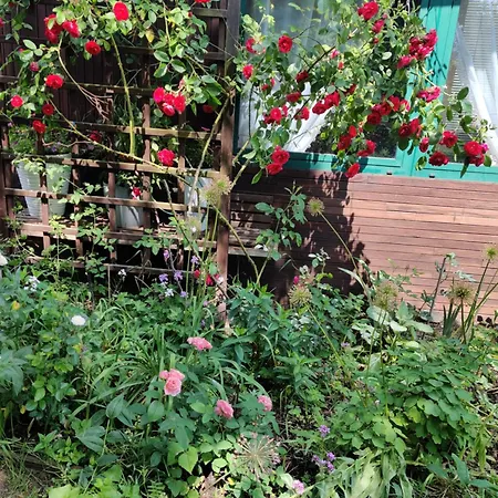 Casa vacanze Rozany *