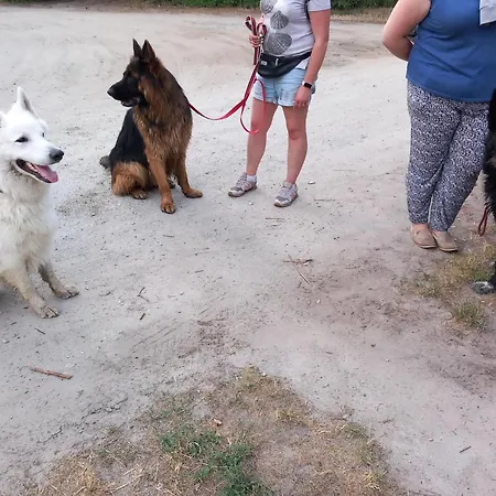 Semesterbostad Rozany Wojnowko