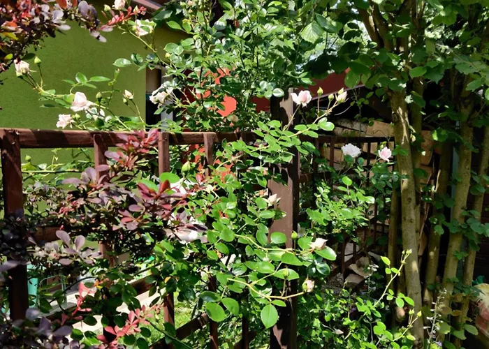 Rozany Holiday home *