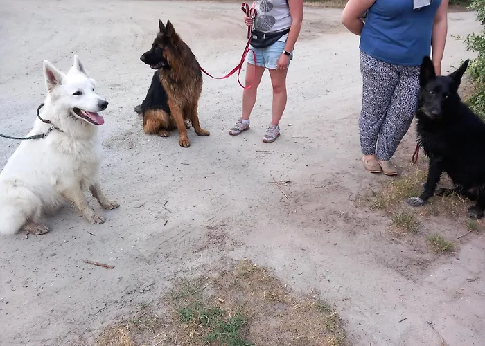 Feriehus Rozany Wojnowko