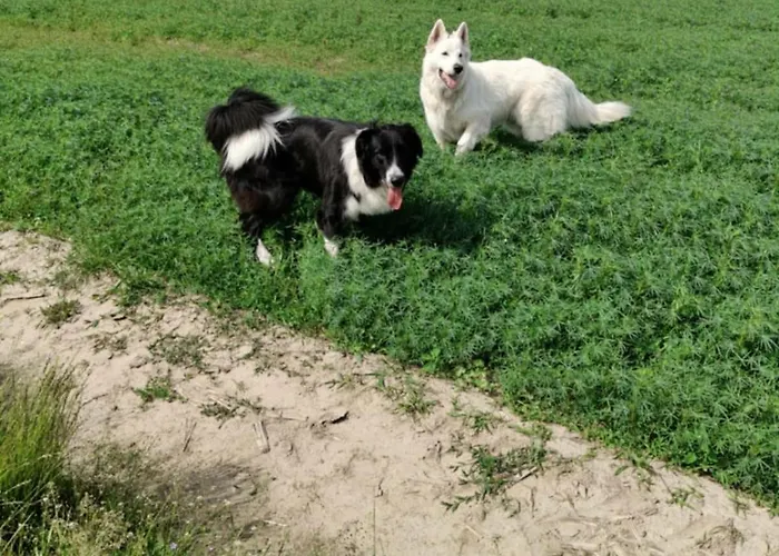 Rozany Feriehus Wojnowko